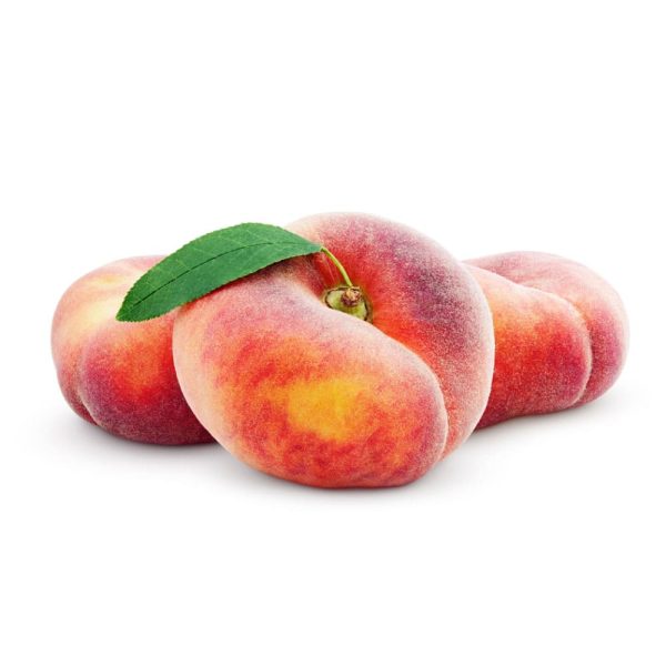 Préssec Xato 500g ECO