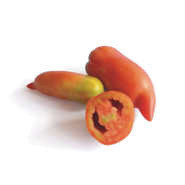 Tomate de Pimiento 500g ECO