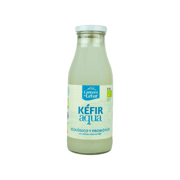 KEFIR UP AGUA 500ml BIO