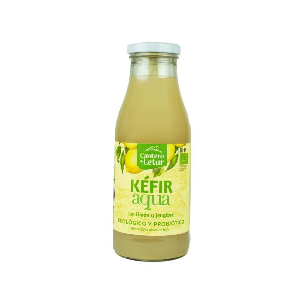 KEFIR UP AGUA LIMON Y JENGIBRE BIO 500 ml