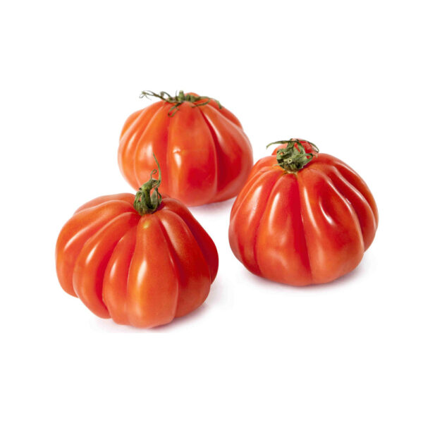 Tomate Corazón de Buey ECO