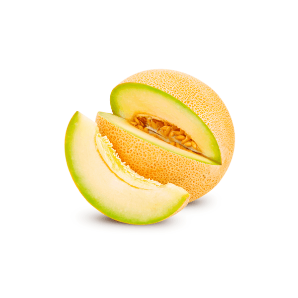melón galia