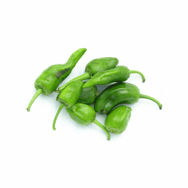 pimiento padron