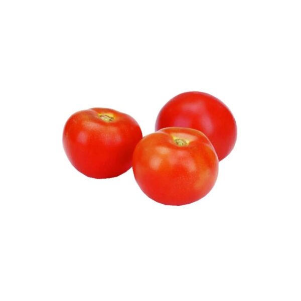 tomate bola ECO