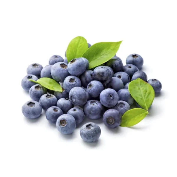 Arándanos 125g ECO