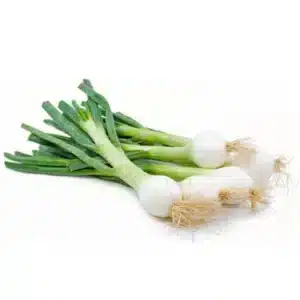 Ceba Tendra Manat ECO