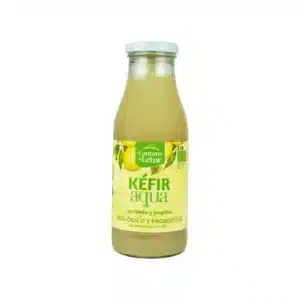 Kèfir Up Aigua Llimona i Gingebre 500ml ECO