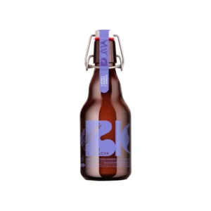 Kombutxa Creative Mind 330ml ECO