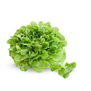 Lechuga Unidad ECO
