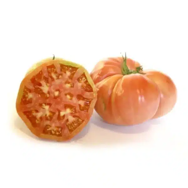Tomàquet Rosa de Barbastre 500g ECO