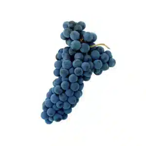 Raïm Negre 500g ECO